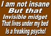 I am not insane...but 