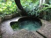Bath in Nature