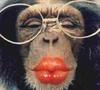 Pucker Up, Baby! 