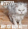 WTF! WHY YOU WASH ME??!!