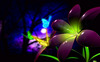 have a wonderful evening