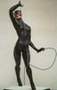 Whipped by Catwoman