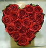 ♥  ♥  Valentines Roses ♥ 