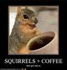 squirell+cofee.. ...