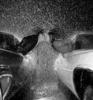 ♥Kisses in the Rain♥