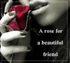 A ROSE FOR A BEAUTIFUL FRIEND