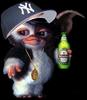 A BEER FROM GIZMO