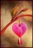 ♥ i heart you♥