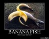 Banana Fish