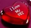 You're the best pet ever &lt;3