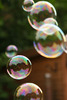 Bubbles 