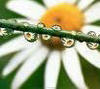 ♥Drops of Happiness♥