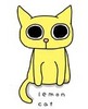 Lemon Cat :3