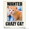 WANTED: Crazy cat