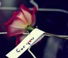 A♥Rose♥For You
