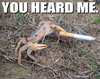 angry crab
