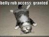 Belly Rub Access Granted