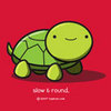 Smiley turtle - a pet for my pet