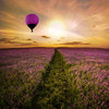 Path To Happiness ~♥  