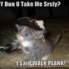 Lol Pirate Kitten