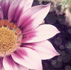 Beautiful, Like YOU  