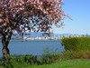A Trip to Vancouver in Spring