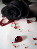Hearts blood rose