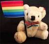 Rainbow Flag Teddy Bear