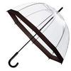 a transparent umbrella