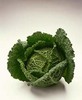 a Head of Lettuce