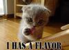 Kitty~~ I has a flavor