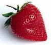 ღstrawberryღ