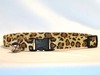 Leopard Print Pet Collar