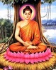 Budha Know