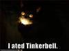 I ated tinkerbell