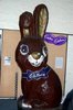 giant chocolate bunny