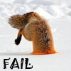You're better than a fail fox :