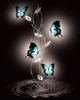 Blue Butterfly