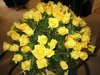 80 yellow roses