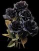 Black Roses