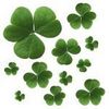 ♥ Clover Leaf ♥ Lucky ♥