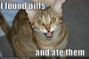 Frisky Kitty Pills