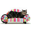 Luxury cat sofa