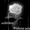 Colorless