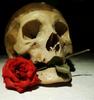 Skull Rose