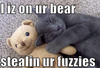 stolen teddy bear