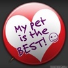 My Pet is the Best!