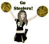 ~ Go Steelers ~
