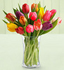 Beautiful Tulips...
