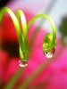 ~drops of happiness~